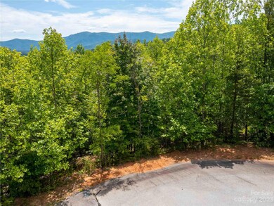 Lot 145 Wee Burn Cove, Mill Spring, NC 28756 - photo 3