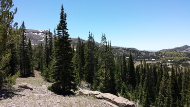 20140604_134253