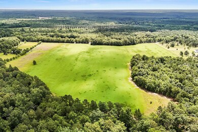 08-DJI_20250617115525_0321_D