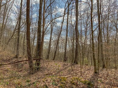 IMG_3050