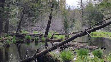 Lot 0 Howe Pond Rd, Readsboro, VT 05350 - photo 7
