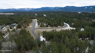 fox-hollow-aerial-2
