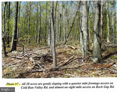 0 Cold Run Valley Rd unit WVMO2000430, Berkeley Springs, WV 25411 - photo 5