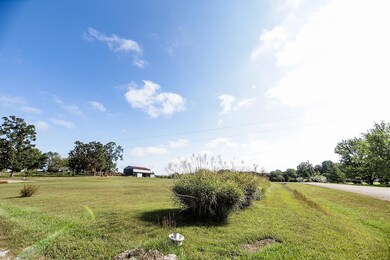 14750 County Road 2130, Rolla, MO 65401 - photo 5