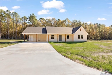 1725 Deanna Rd, Diana, TX 75640 - photo 3