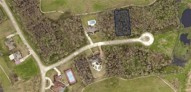 surrounded by luxury homes