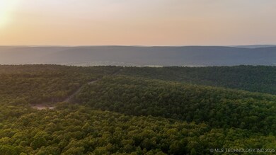 7 Moonshine Dr, Clayton, OK 74536 - photo 4