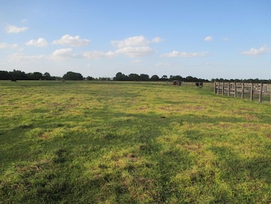 TBD NE 168th St, Okeechobee, FL 34972 - photo 6