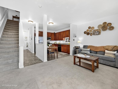 4533 Garritano St unit D, Yorkville, IL 60560 - photo 4