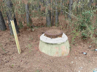 0 Wallace St unit 1, Sylacauga, AL 35151 - photo 3