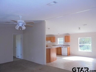 6717 6717 County Road 233, Tyler, TX 75707 - photo 3
