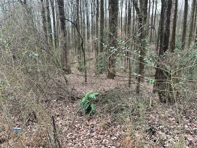 Lot 4 Timberwalk Dr, Ellijay, GA 30540 - photo 7