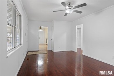 25 Elm Tree Ct, Taylorville, IL 62568 - photo 5