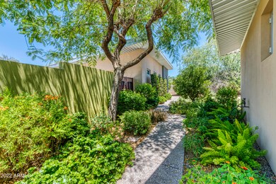 043_Lush Walkway