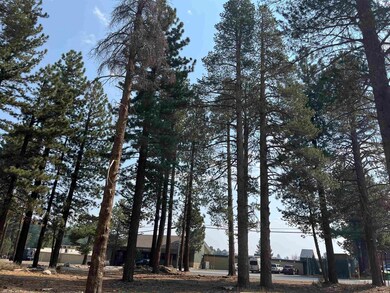 76 Laurel Mountain Rd unit 6, Mammoth Lakes, CA 93546 - photo 7