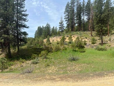 TBD Napias Lot 21, Boise, ID 83716 - photo 5