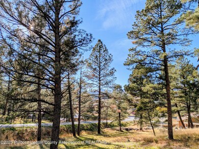 416 Snowcap Dr, Ruidoso, NM 88345 - photo 5