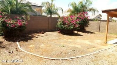 Backyard 2