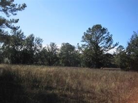 lot on Crawfordville Hwy, Crawfordville, FL 32327 - photo 4