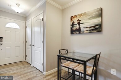 1826 Cassandra Dr unit 132, Sykesville, MD 21784 - photo 5