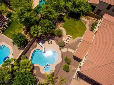 Spacious Back Yard