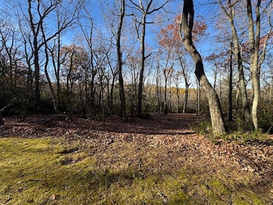 TBD Crooked White Oak Tr, Hillsville, VA 24343 - photo 4