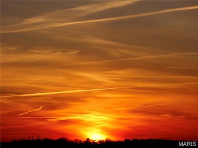 2377 Fiddler's Close Rd unit 115 STB, Washington, MO 63090 - photo 5