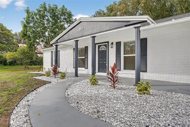 201 S Mare Ave, Howey In the Hills, FL 34737 - photo 4