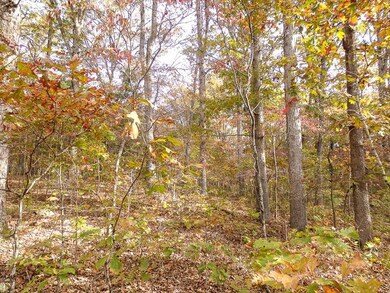 Tbd Eswine Rd, Tecumseh, MO 65760 - photo 3