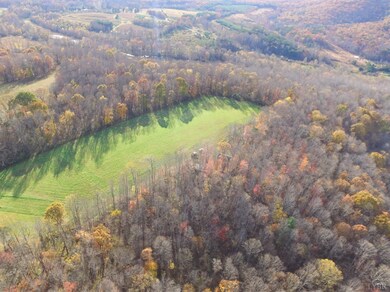 1872 Sailors Creek Rd, Callands, VA 24530 - photo 3