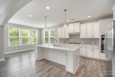 1570 Thatcher Crossing, Clover, SC 29710 - photo 4