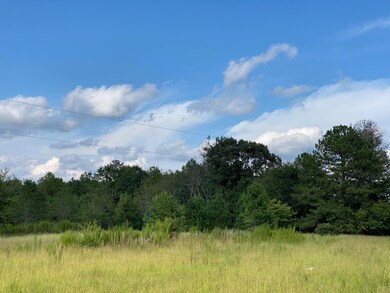 IMG_1822