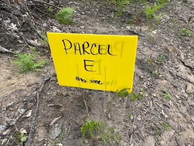 Parcel #E Town Line Rd, Lewiston, MI 49756 - photo 3