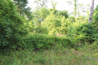 0 Bradbury Dr unit 78869892, Hockley, TX 77447 - photo 4