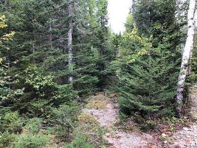 Lot 12 B Duck Cove Rd, Roque Bluffs, ME 04654 - photo 3