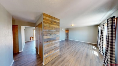 19029 Country Dr unit II, Alamosa, CO 81101 - photo 3
