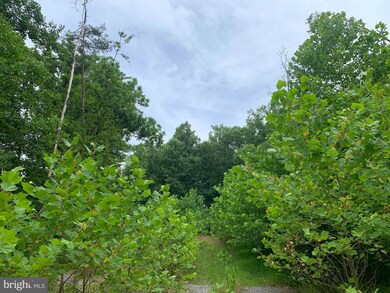 0 Shockeysville Rd unit VAFV2014768, Winchester, VA 22603 - photo 6