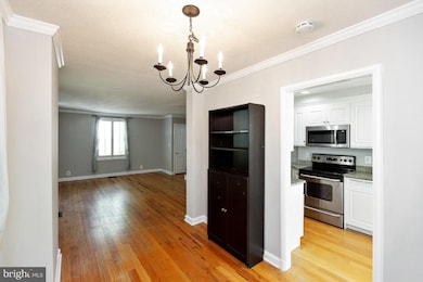 3585 S Stafford St, Arlington, VA 22206 - photo 7