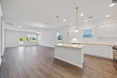 129 Monroe Preserve Dr, Chapin, SC 29036 - photo 6