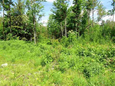 0 Stewart Foss Mountain Rd unit 13,21.22 4761929, Eaton, NH 03832 - photo 3