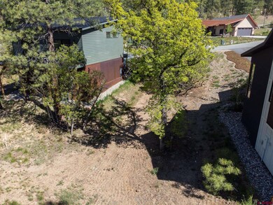 43 Terra Blue Way, Durango, CO 81301 - photo 5