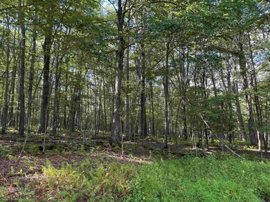 Lots 41 and 42 Daylily Ct, Terra Alta, WV 26764 - photo 6