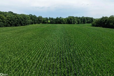 TBD Driftwood Blvd, Bloomfield, IA 52537 - photo 5