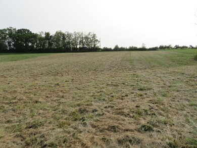 590 Craig Crossing, Winchester, KY 40391 - photo 5