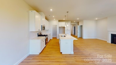 603 Banter Ln unit 38, Cramerton, NC 28032 - photo 7