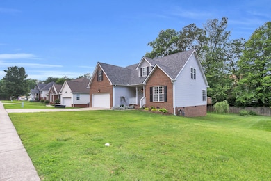 3_8369 shadetree ln-3