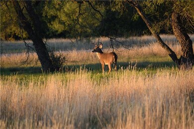 23143 Greenbriar Dr, Whitney, TX 76692 - photo 7