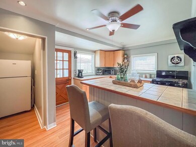 426 Maple St, Jenkintown, PA 19046 - photo 6