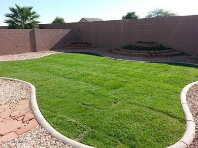 Backyard 2