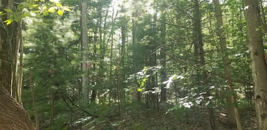 116896291_994768067620508_55196396819196